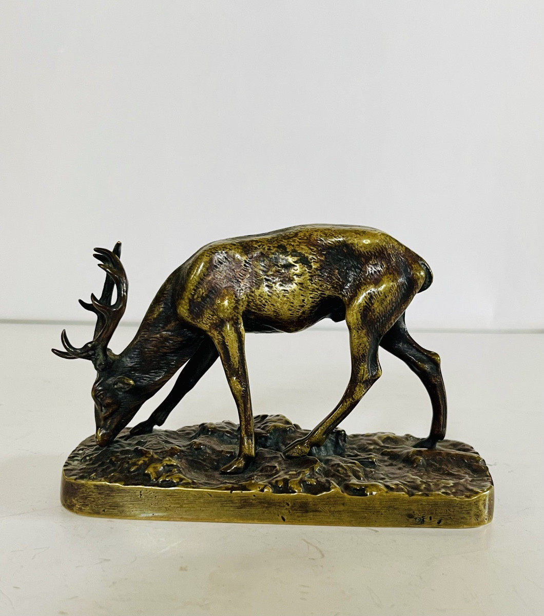 Bronze Stag